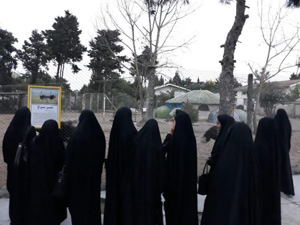 برگزاری اردوی تفریحی به ساحل دریای خزر 4