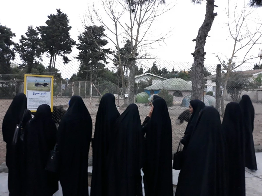 برگزاری اردوی تفریحی به ساحل دریای خزر 4