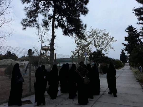 برگزاری اردوی تفریحی به ساحل دریای خزر 5