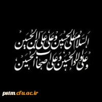 اربعین حسینی تسیلت باد 2