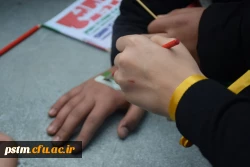 به همت بسیج دانشجویی پردیس برگزار شد: نمایشگاه نقاشی و فرهنگی در مسیر راهپیمایی 13 آبان 9