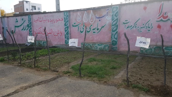 بازدید مسئولین نظارت و ارزیابی دانشگاه فرهنگیان استان از پردیس 5