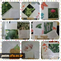 برگزاری نمایشگاه پوستر معرفی خواص گیاهان دارویی به مناسبت هفته دیابت  2