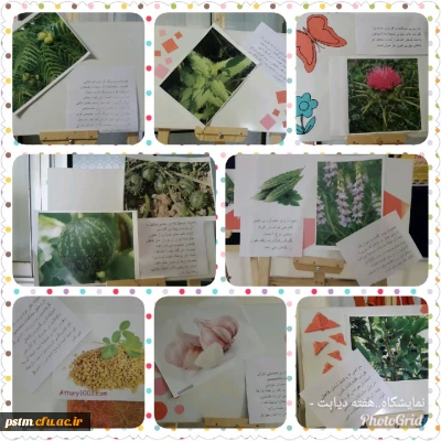 برگزاری نمایشگاه پوستر معرفی خواص گیاهان دارویی به مناسبت هفته دیابت