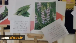 برگزاری نمایشگاه پوستر معرفی خواص گیاهان دارویی به مناسبت هفته دیابت  3