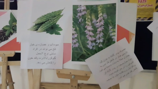 برگزاری نمایشگاه پوستر معرفی خواص گیاهان دارویی به مناسبت هفته دیابت  3