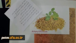 برگزاری نمایشگاه پوستر معرفی خواص گیاهان دارویی به مناسبت هفته دیابت  4