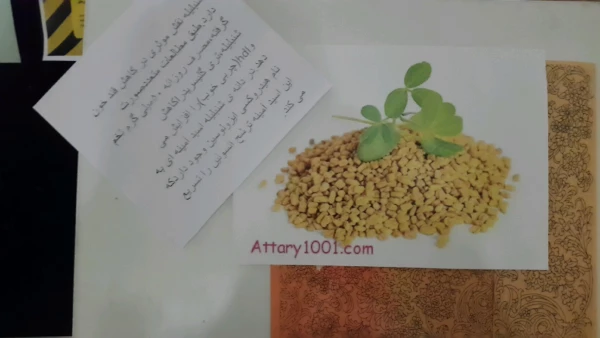 برگزاری نمایشگاه پوستر معرفی خواص گیاهان دارویی به مناسبت هفته دیابت  4