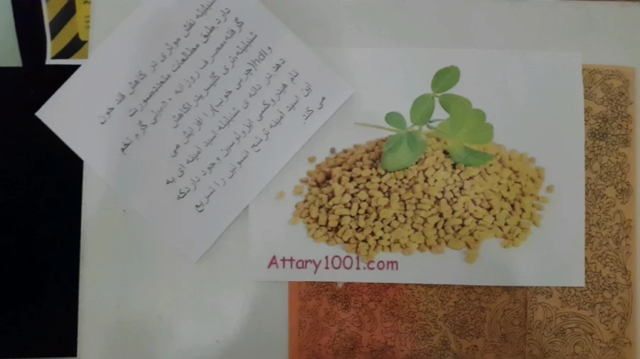 برگزاری نمایشگاه پوستر معرفی خواص گیاهان دارویی به مناسبت هفته دیابت  4