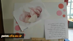 برگزاری نمایشگاه پوستر معرفی خواص گیاهان دارویی به مناسبت هفته دیابت  5