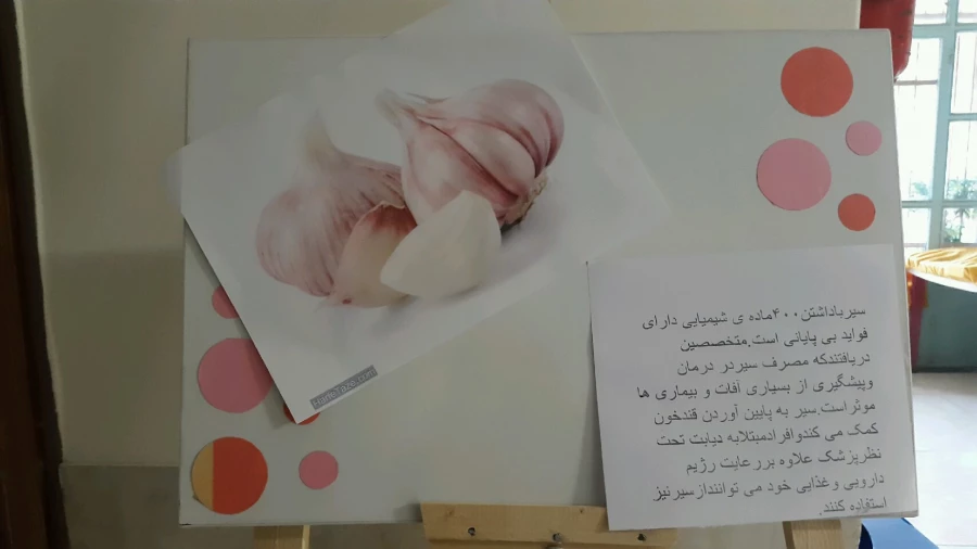 برگزاری نمایشگاه پوستر معرفی خواص گیاهان دارویی به مناسبت هفته دیابت  5