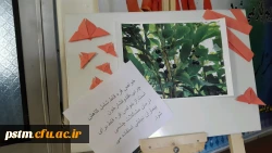 برگزاری نمایشگاه پوستر معرفی خواص گیاهان دارویی به مناسبت هفته دیابت  6