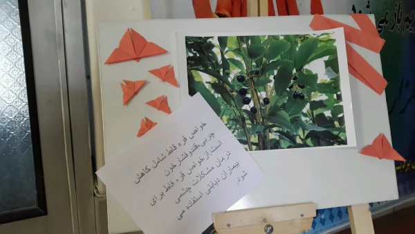 برگزاری نمایشگاه پوستر معرفی خواص گیاهان دارویی به مناسبت هفته دیابت  6