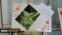 برگزاری نمایشگاه پوستر معرفی خواص گیاهان دارویی به مناسبت هفته دیابت  8