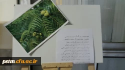 برگزاری نمایشگاه پوستر معرفی خواص گیاهان دارویی به مناسبت هفته دیابت  9