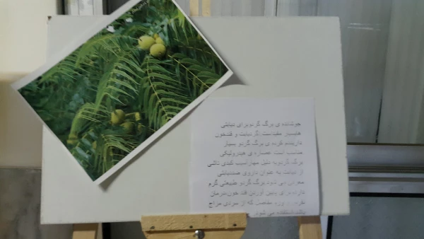 برگزاری نمایشگاه پوستر معرفی خواص گیاهان دارویی به مناسبت هفته دیابت  9