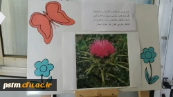 برگزاری نمایشگاه پوستر معرفی خواص گیاهان دارویی به مناسبت هفته دیابت  10