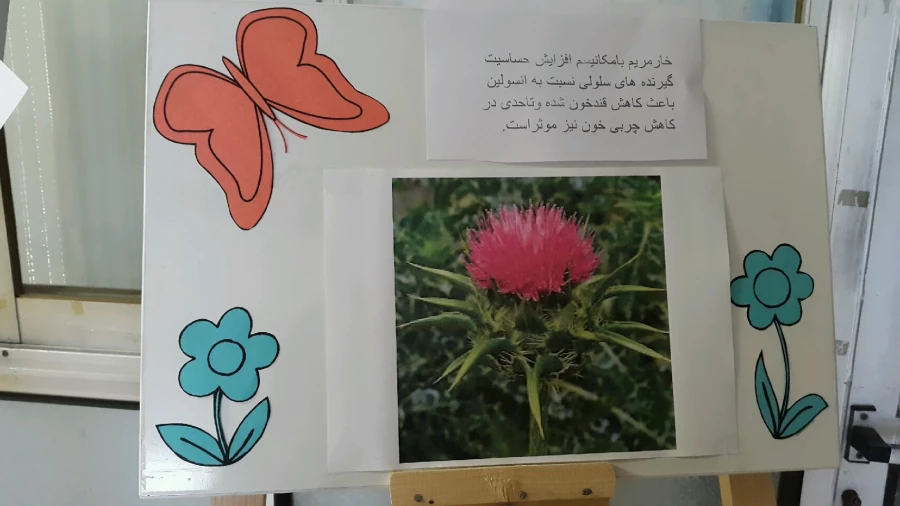 برگزاری نمایشگاه پوستر معرفی خواص گیاهان دارویی به مناسبت هفته دیابت  10