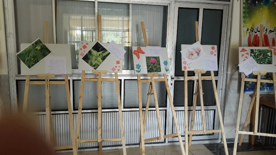 برگزاری نمایشگاه پوستر معرفی خواص گیاهان دارویی به مناسبت هفته دیابت  11