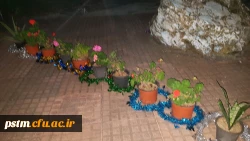 در آستانه روز دانشجو در محوطه سرای دانشجویی برگزار شد: نشست صمیمی دانشجویان با سرپرست پردیس، سرو شام و خاطره گویی 16