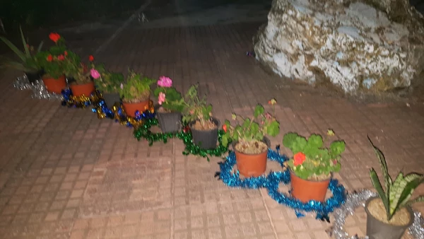 در آستانه روز دانشجو در محوطه سرای دانشجویی برگزار شد: نشست صمیمی دانشجویان با سرپرست پردیس، سرو شام و خاطره گویی 16