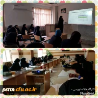برگزاری کارگاه مقاله نویسی تحت عنوان « مسئله یابی و آشنایی با پایگاه های نمایه کننده ی ایرانی و خارجی»توسط اعضای هیات علمی پردیس 2