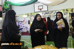 بازدید مدیرکل امور امور اجتماعی دانشگاه فرهنگیان از غرفه مازندران در جشنواره رویش 9