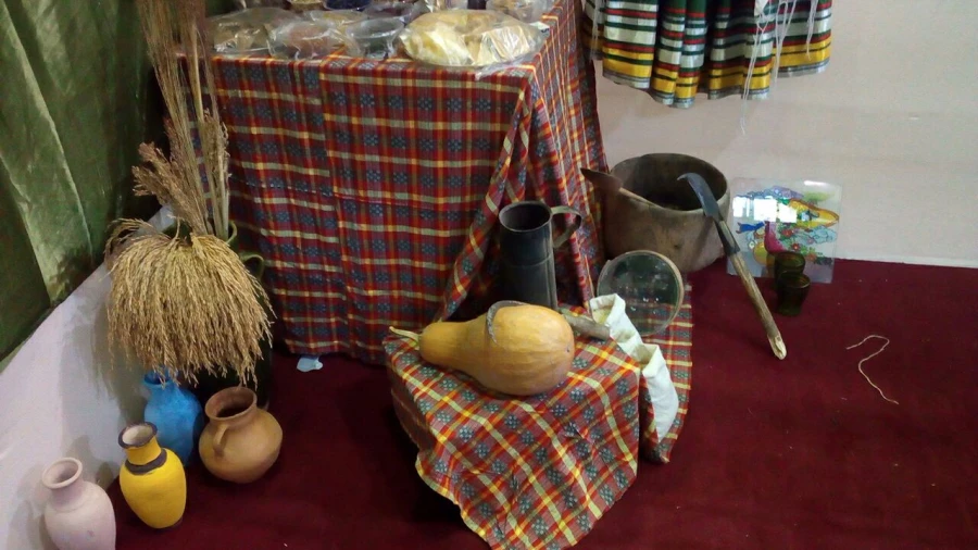 بازدید مدیرکل امور امور اجتماعی دانشگاه فرهنگیان از غرفه مازندران در جشنواره رویش 15