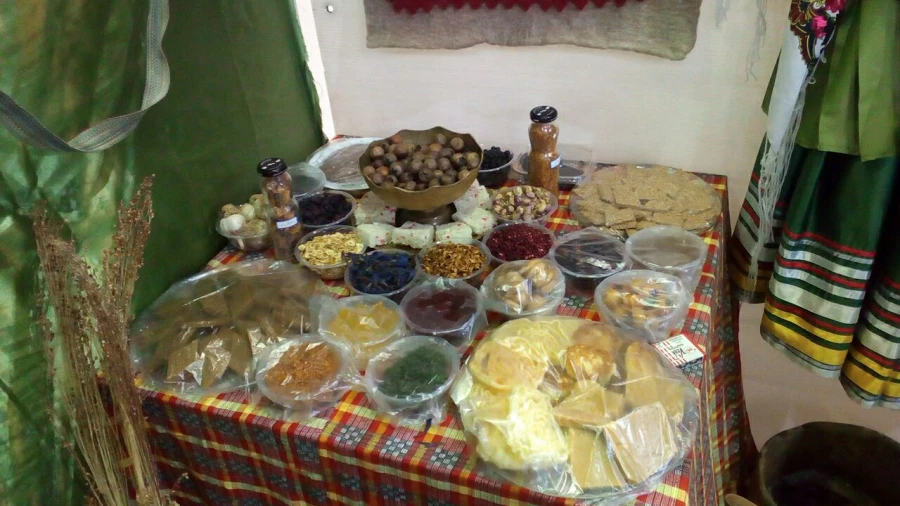 بازدید مدیرکل امور امور اجتماعی دانشگاه فرهنگیان از غرفه مازندران در جشنواره رویش 16