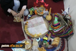 بازدید مدیرکل امور امور اجتماعی دانشگاه فرهنگیان از غرفه مازندران در جشنواره رویش 14