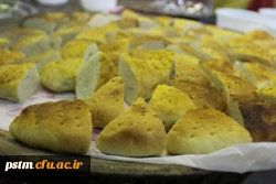 بازدید مدیرکل امور امور اجتماعی دانشگاه فرهنگیان از غرفه مازندران در جشنواره رویش 12