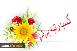 افتخارآفرینان مرحله استانی بیست و نهمین جشنواره فرهنگی و اجتماعی دانشگاه فرهنگیان 2