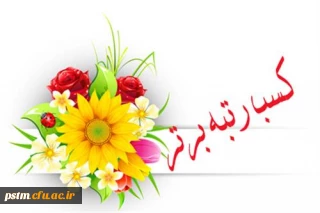 افتخارآفرینان مرحله استانی بیست و نهمین جشنواره فرهنگی و اجتماعی دانشگاه فرهنگیان