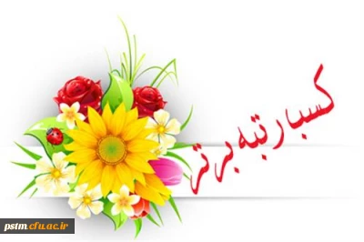 افتخارآفرینان مرحله استانی بیست و نهمین جشنواره فرهنگی و اجتماعی دانشگاه فرهنگیان