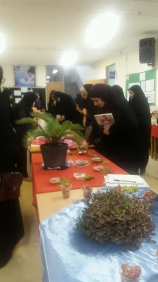 در آستانه هفته سرای دانشجویی برگزار شد: جشنواره دسرها 6