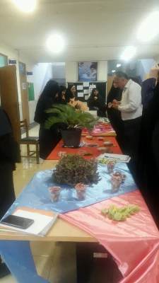 در آستانه هفته سرای دانشجویی برگزار شد: جشنواره دسرها 5