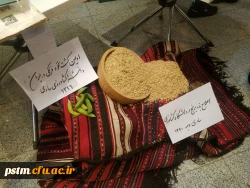 در حاشیه برگزاری آیین نکوداشت یکصدمین سال تربیت معلم در ایران برگزار شد: برپایی نمایشگاه اسناد و مفاخر تربیت معلم مازندران  11