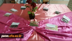 برگزاری نمایشگاه کتاب، دمنوش ها و صبحانه سالم به مناسبت هفته بهداشت روان