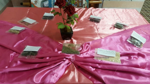 برگزاری نمایشگاه کتاب، دمنوش ها و صبحانه سالم به مناسبت هفته بهداشت روان