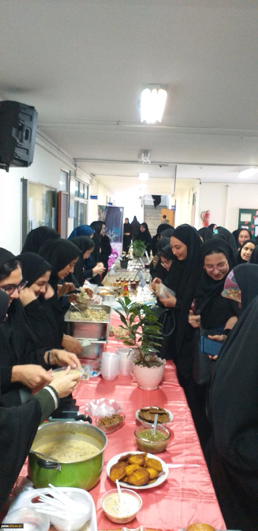 برگزاری جشنواره غذای سالم در پردیس