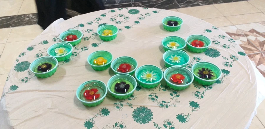 برگزاری جشنواره غذای سالم در پردیس