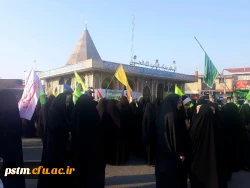 حضور دانشجومعلمان پردیس فاطمه الزهرا( س) ساری در اجتماع بزرگ بیعت با امام عصر( عج ) در محوطه امام زاده یحیی ساری