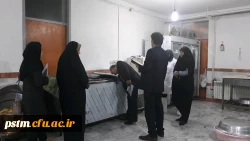بازدید کارشناسان شبکه بهداشت از پردیس
