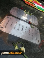 حضور دانشجومعلمان و کارکنان پردیس فاطمه الزهراء (س) ساری در راهپیمایی حماسه 9 دی ، روز بصیرت و میثاق امت با ولایت