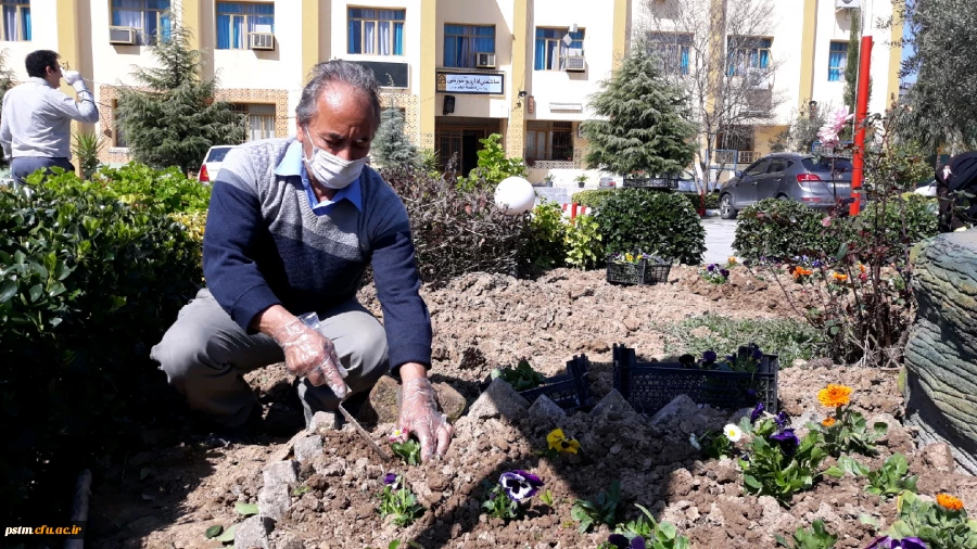 آماده سازی فضای سبز پردیس در آستانه فرا رسیدن بهار به روایت تصویر 2