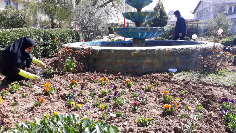 آماده سازی فضای سبز پردیس در آستانه فرا رسیدن بهار به روایت تصویر 3