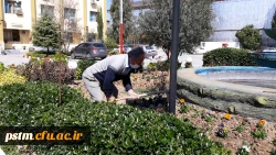 آماده سازی فضای سبز پردیس در آستانه فرا رسیدن بهار به روایت تصویر 4