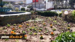 آماده سازی فضای سبز پردیس در آستانه فرا رسیدن بهار به روایت تصویر 5