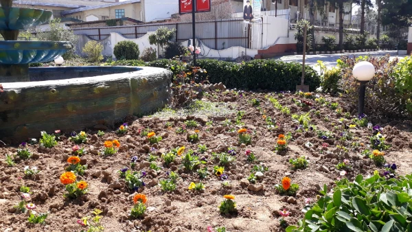 آماده سازی فضای سبز پردیس در آستانه فرا رسیدن بهار به روایت تصویر 5