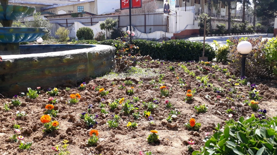 آماده سازی فضای سبز پردیس در آستانه فرا رسیدن بهار به روایت تصویر 5
